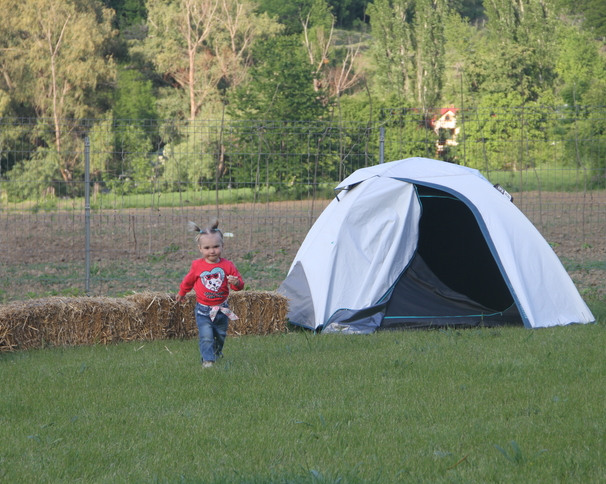 Campingul Dolna