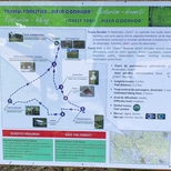 Rezervația Naturală „Codrii”