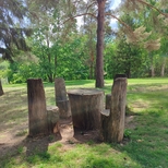 Rezervația Naturală „Codrii”