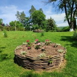 Rezervația Naturală „Codrii”