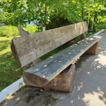 Rezervația Naturală „Codrii”
