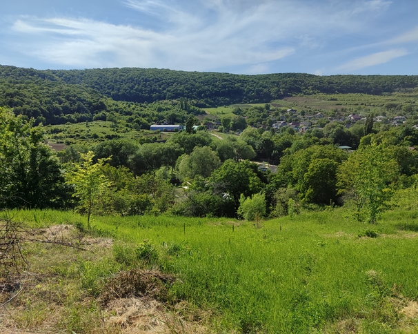 Bașca Rurală