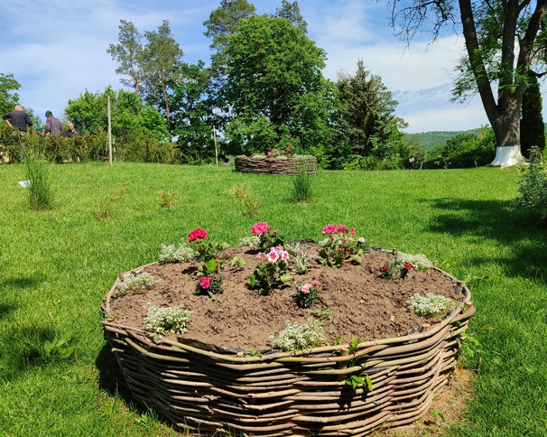 Rezervația Naturală „Codrii”